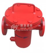 DN200自主生产篮式过滤器(325*650)